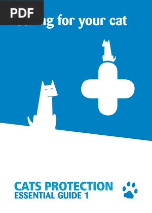 Caring for your cat