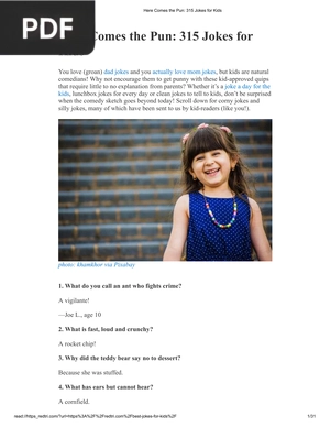 Here Comes the Pun 315 Jokes for Kids