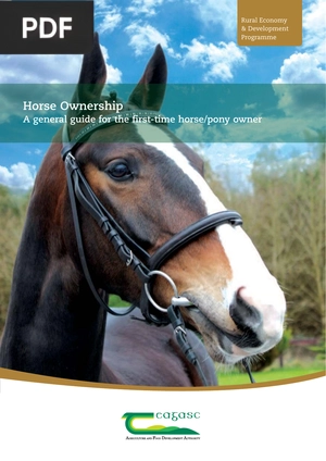 Horse Ownership