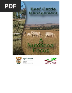 Beff cattle management