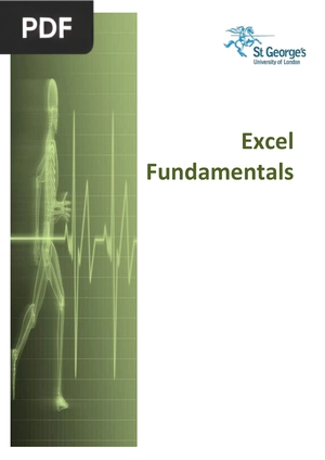 Excel Fundamentals