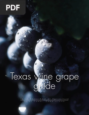 Texas Wine Grape Guide