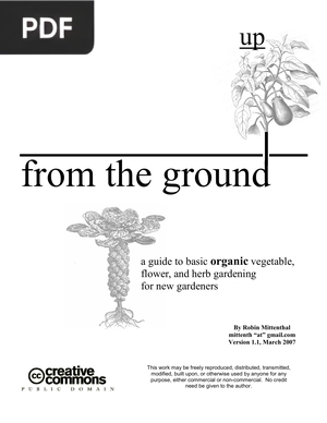 Up from the Ground