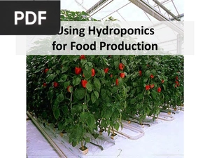 Using Hydroponics for Food Production