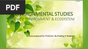 Environmental Studies (Presentation)