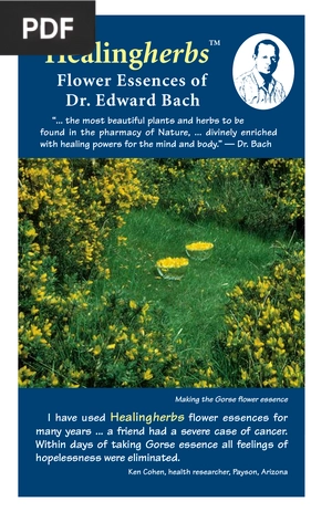 Healingherbs - Flower Essences of Dr. Edward Bach