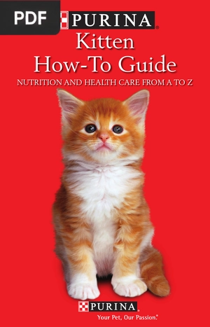 Kitten How-To Guide