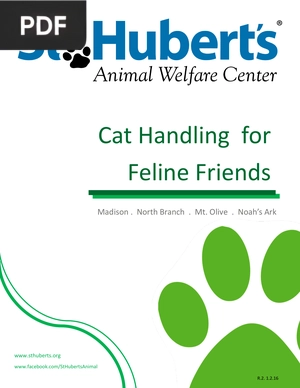Cat Handling for Feline Friends
