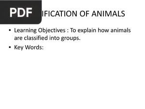 Clasification of Animals (Presentation)