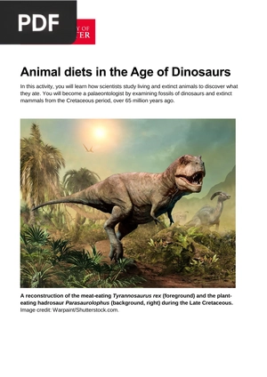 Animal diets in the Age of Dinosaurs