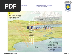 II. Bioenergetics (Presentation)