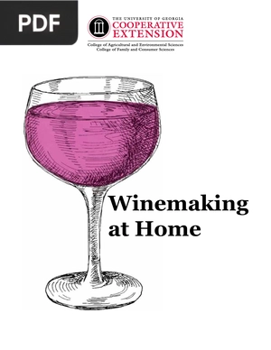Winemaking at Home
