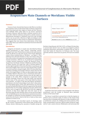 Acupuncture Main Channels or Meridians: Visible Surfaces