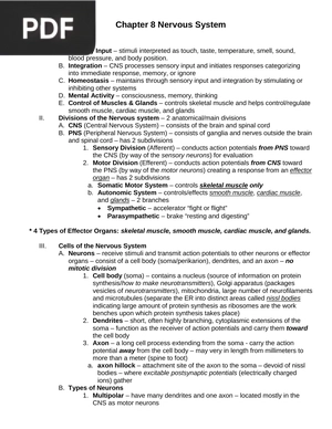 Chapter 8 Nervous System (Article)