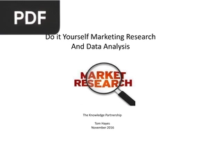 Do it Yourself Marketing Research And Data Analysis (Presentation)