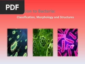 Introduction to Bacteria (Presentation)