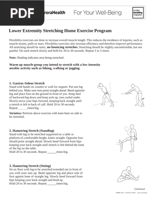 Lower Extremity Stretching Home Exercise Program (Article)