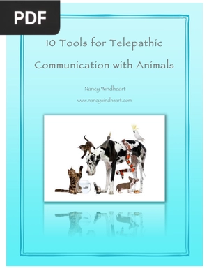 10 Tools for Telepathic Communication with Animals