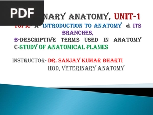 Veterinary Anatomy (Presentation)