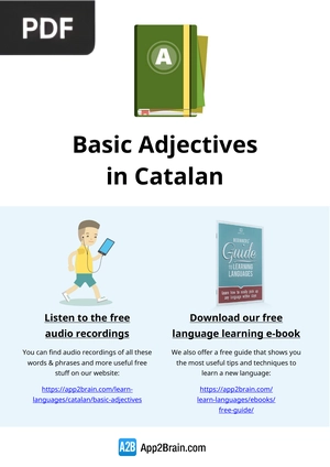 Basic Adjectives in Catalan