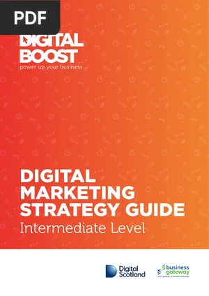Digital Marketing Strategy Guide Intermediate Level