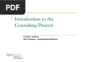 Introduction to the Consulting Process (Presentation)