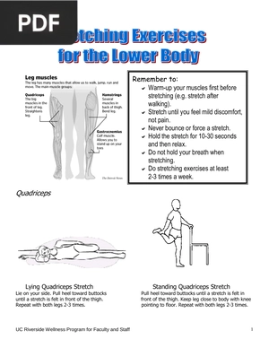 Stretches for Lower and Upper Body (Article)