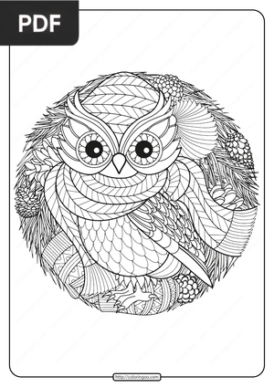 Winter owl