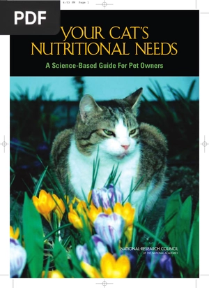 Your Cat's Nutritional Needs