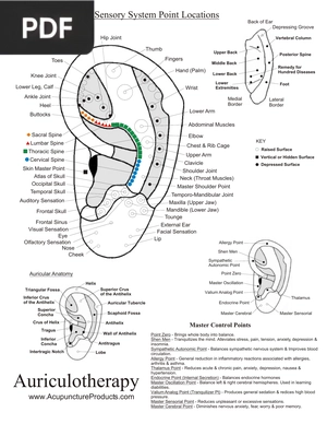 Musculoskeletal and Sensory System Point Locations (Article)