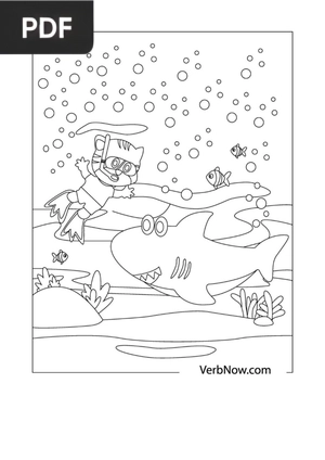 Shark29