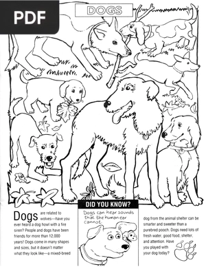 Dogs