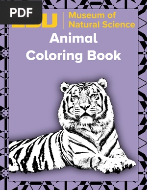 Animal Coloring