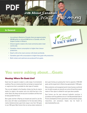 Facts & Figures About Canadian Goat Farming