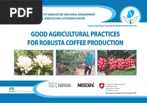 Good Agricultural Practices For Robusta Coffee Production
