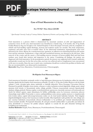 Case of Fetal Maceration in a Dog