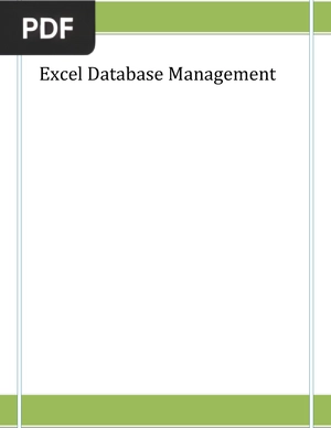 Excel Database Management