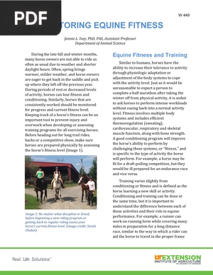 Monitoring Equine Fitness (Article)