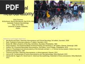 Regional Neuroanatomy (Presentation)