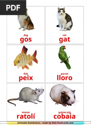 Domestic animals flashcards