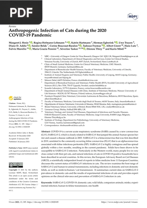 Anthropogenic Infection of Cats during the 2020 COVID-19 Pandemic