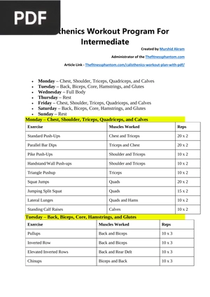 Calisthenics Workout Program For Intermediate