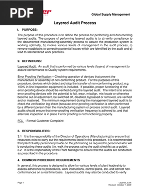 Layered Audit Process