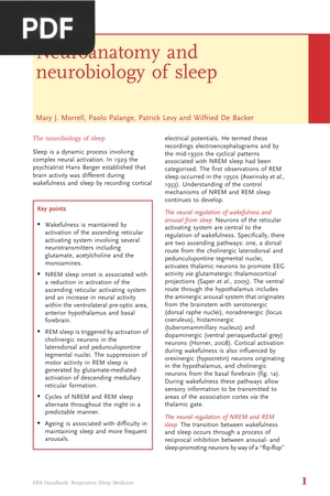Neuroanatomy and Neurobiology of Sleep (Article)
