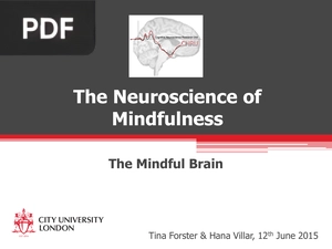 The Neuroscience of Mindfulness (Presentation)