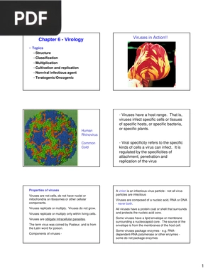 Virology (Presentation)
