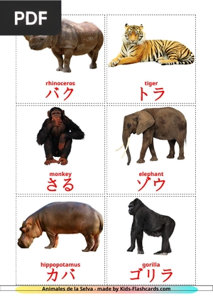 Animals - Flascards