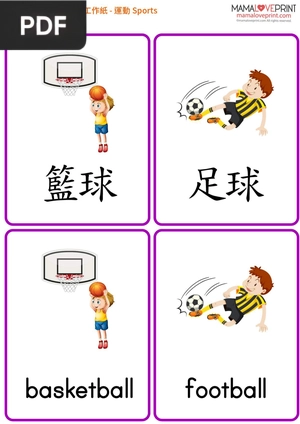 Worksheets  - Sports -  flash memory card