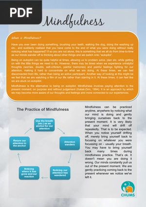 Mindfulness (Artticle)