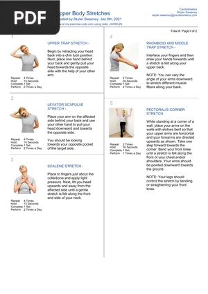 Upper Body Stretches (Article)
